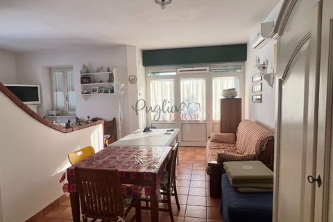 Landejendom i Cisternino, Brindisi, Cisternino - € 140.000 | Ref: 242 - foto 13