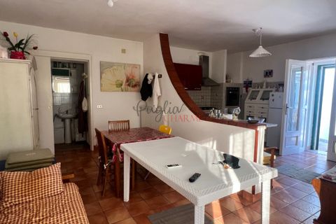 Landejendom i Cisternino, Brindisi, Cisternino - € 140.000 | Ref: 242 - foto 14