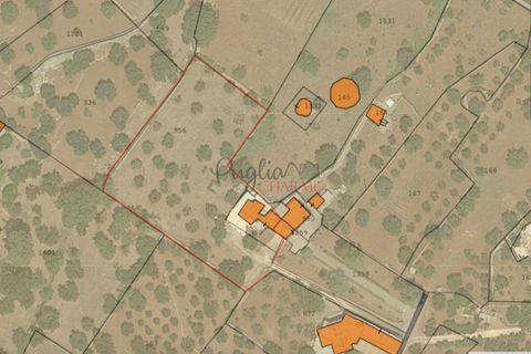 Landejendom i Cisternino, Brindisi, Cisternino - € 140.000 | Ref: 242 - foto 26