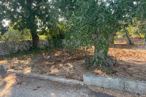 Landejendom i Cisternino, Brindisi, Cisternino - € 140.000 | Ref: 242 - foto 5