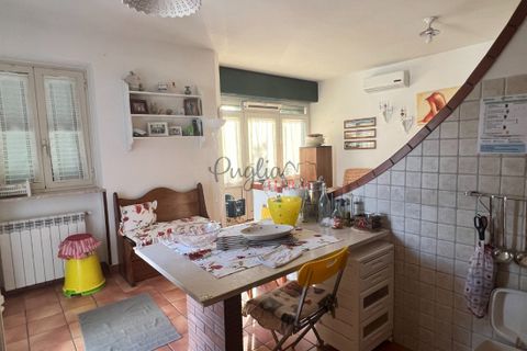 Landejendom i Cisternino, Brindisi, Cisternino - € 140.000 | Ref: 242 - foto 12