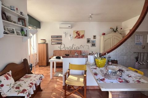 Landejendom i Cisternino, Brindisi, Cisternino - € 140.000 | Ref: 242 - foto 10