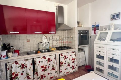Landejendom i Cisternino, Brindisi, Cisternino - € 140.000 | Ref: 242 - foto 9