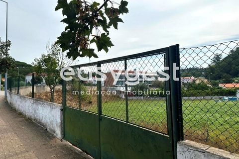 Helårsgrund i Coimbra, Coimbra, Coimbra - € 450.000 | Ref: RR93582 - foto 9