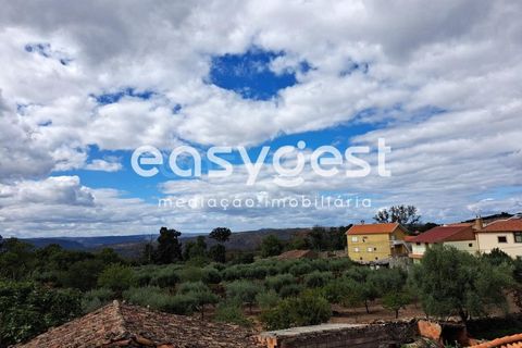 Villa a Torre de Moncorvo, Braganca, Torre de Moncorvo - € 63.000 | Ref: BG93540MG - foto 17