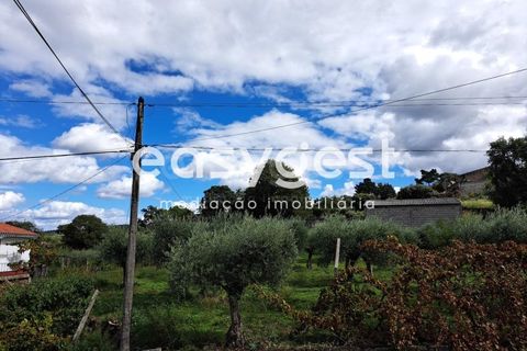 Villa a Torre de Moncorvo, Braganca, Torre de Moncorvo - € 63.000 | Ref: BG93540MG - foto 19