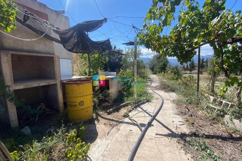 Landejendom i Lucar, Almeria, Lucar - € 70.000 | Ref: 2442 - foto 19