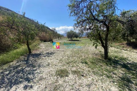 Landejendom i Lucar, Almeria, Lucar - € 70.000 | Ref: 2442 - foto 20