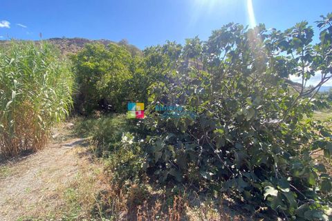 Landejendom i Lucar, Almeria, Lucar - € 70.000 | Ref: 2442 - foto 21