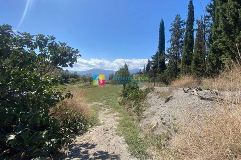 Landejendom i Lucar, Almeria, Lucar - € 70.000 | Ref: 2442 - foto 22