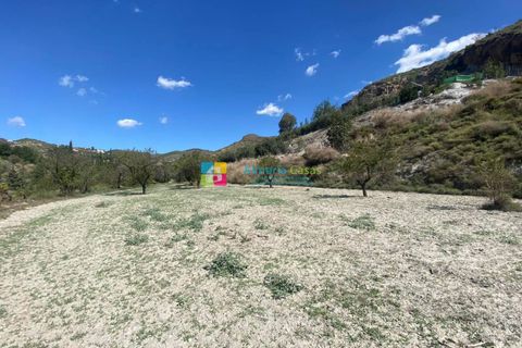 Landejendom i Lucar, Almeria, Lucar - € 70.000 | Ref: 2442 - foto 25