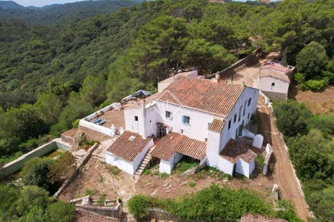 Herregård i Es Mercadal, Menorca, Es Mercadal - € 5 900 000 | Ref: MEN35337 - foto 10