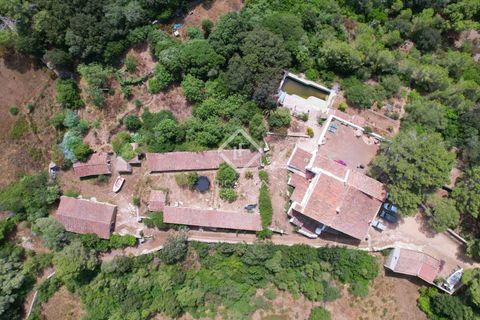Herregård i Es Mercadal, Menorca, Es Mercadal - € 5 900 000 | Ref: MEN35337 - foto 12