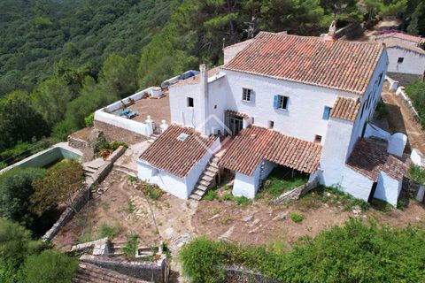 Herregård i Es Mercadal, Menorca, Es Mercadal - € 5 900 000 | Ref: MEN35337 - foto 17