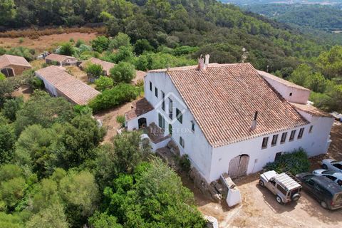 Herregård i Es Mercadal, Menorca, Es Mercadal - € 5 900 000 | Ref: MEN35337 - foto 21