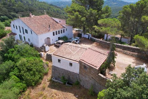 Herregård i Es Mercadal, Menorca, Es Mercadal - € 5 900 000 | Ref: MEN35337 - foto 22