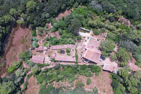 Herregård i Es Mercadal, Menorca, Es Mercadal - € 5 900 000 | Ref: MEN35337 - foto 24