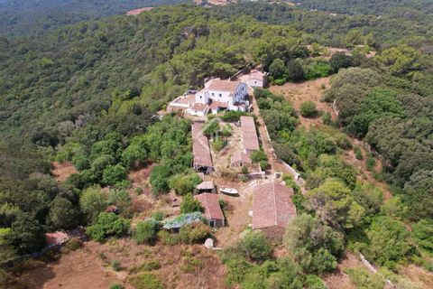 Herregård i Es Mercadal, Menorca, Es Mercadal - € 5 900 000 | Ref: MEN35337 - foto 26
