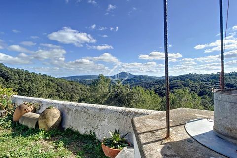 Herregård i Es Mercadal, Menorca, Es Mercadal - € 5 900 000 | Ref: MEN35337 - foto 29