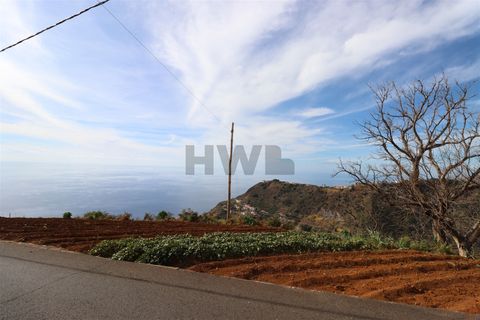 Helårsgrund i Ponta do Sol, Madeira, Ponta do Sol - € 62.000 | Ref: MF013 - foto 2