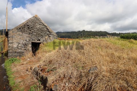 Helårsgrund i Ponta do Sol, Madeira, Ponta do Sol - € 62.000 | Ref: MF013 - foto 4