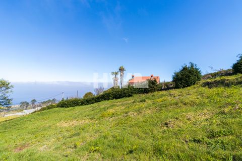 Helårsgrund i Calheta, Madeira, Calheta - € 180.000 | Ref: EV007 - foto 6