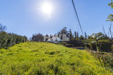 Helårsgrund i Calheta, Madeira, Calheta - € 180.000 | Ref: EV007 - foto 9