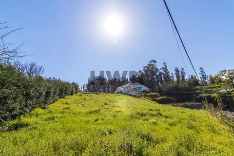 Helårsgrund i Calheta, Madeira, Calheta - € 180.000 | Ref: EV007 - foto 10
