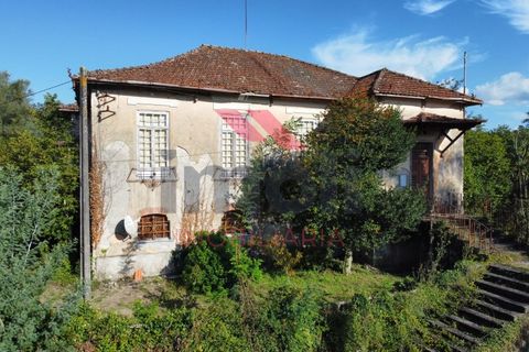 Farm i Arcos de Valdevez, Viana do Castelo, Arcos de Valdevez - € 490.000 | Ref: AVV-2235-LR-0923 - foto 4