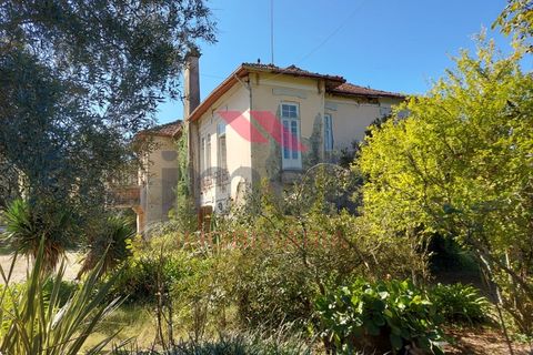 Farm i Arcos de Valdevez, Viana do Castelo, Arcos de Valdevez - € 490.000 | Ref: AVV-2235-LR-0923 - foto 2