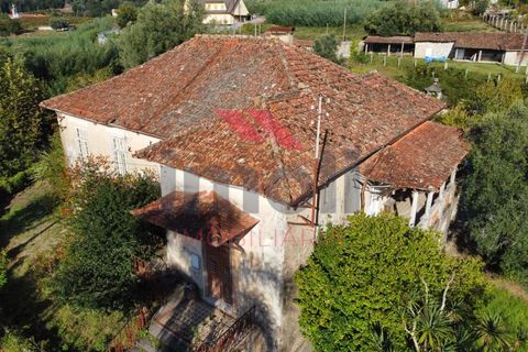 Farm i Arcos de Valdevez, Viana do Castelo, Arcos de Valdevez - € 490.000 | Ref: AVV-2235-LR-0923 - foto 6