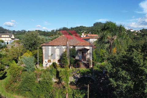 Farm i Arcos de Valdevez, Viana do Castelo, Arcos de Valdevez - € 490.000 | Ref: AVV-2235-LR-0923 - foto 27