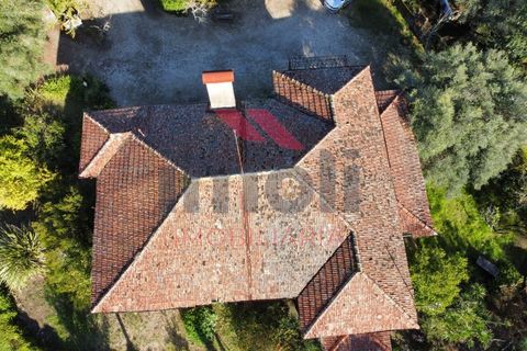 Farm i Arcos de Valdevez, Viana do Castelo, Arcos de Valdevez - € 490.000 | Ref: AVV-2235-LR-0923 - foto 30