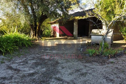 Farm i Arcos de Valdevez, Viana do Castelo, Arcos de Valdevez - € 490.000 | Ref: AVV-2235-LR-0923 - foto 35