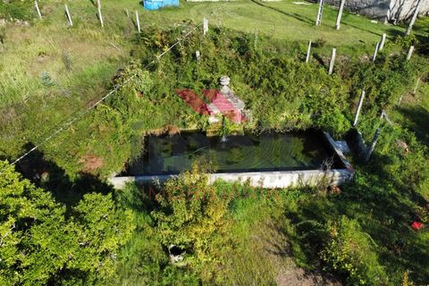 Farm i Arcos de Valdevez, Viana do Castelo, Arcos de Valdevez - € 490.000 | Ref: AVV-2235-LR-0923 - foto 37