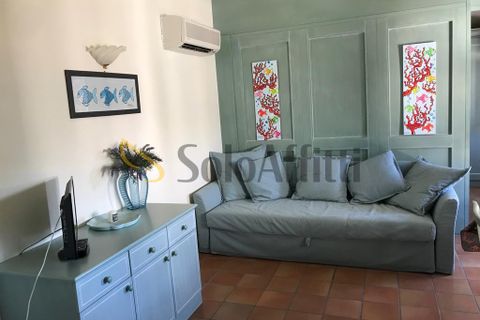 Apartament a Pisa, Pisa, Pisa - € 800/mes | Ref: AA3864 - foto 11