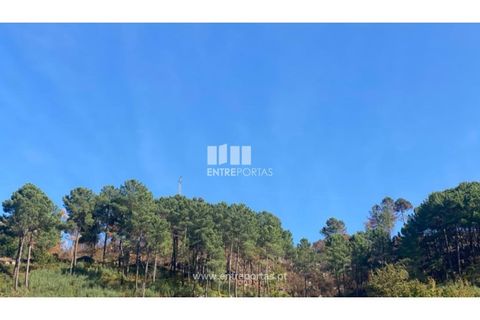 Helårsgrund i Cinfaes, Viseu, Cinfaes - € 29.000 | Ref: MC09585 - foto 1