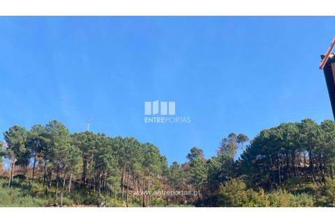 Helårsgrund i Cinfaes, Viseu, Cinfaes - € 29.000 | Ref: MC09585 - foto 2