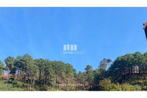 Helårsgrund i Cinfaes, Viseu, Cinfaes - € 29.000 | Ref: MC09585 - foto 3