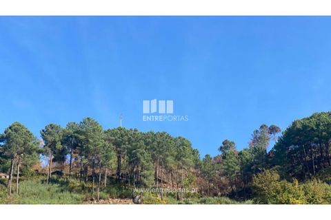 Helårsgrund i Cinfaes, Viseu, Cinfaes - € 29.000 | Ref: MC09585 - foto 5