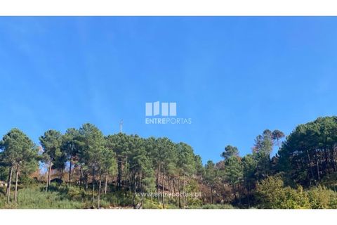 Helårsgrund i Cinfaes, Viseu, Cinfaes - € 29.000 | Ref: MC09585 - foto 6