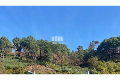 Helårsgrund i Cinfaes, Viseu, Cinfaes - € 29.000 | Ref: MC09585 - foto 7