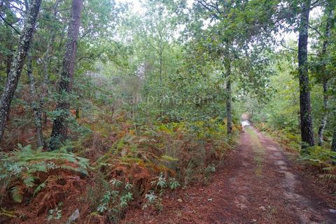 Helårsgrund i Moncao, Viana do Castelo, Moncao - € 60.000 | Ref: 4041 - foto 2