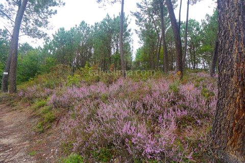 Helårsgrund i Moncao, Viana do Castelo, Moncao - € 60.000 | Ref: 4041 - foto 3