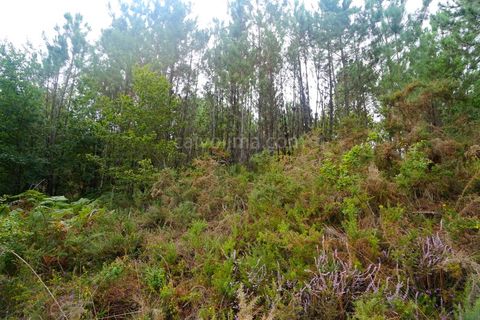 Helårsgrund i Moncao, Viana do Castelo, Moncao - € 60.000 | Ref: 4041 - foto 4
