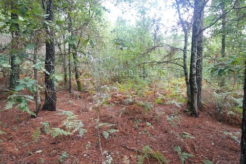 Helårsgrund i Moncao, Viana do Castelo, Moncao - € 60.000 | Ref: 4041 - foto 5