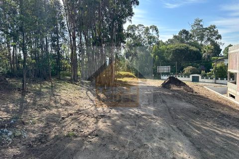 Grond in Paredes, Porto, Paredes - € 330.000 | Ref: 1015 - foto 4