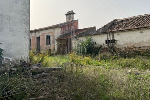 Helårsgrund i Matacaes, Lisbon, Matacaes - € 340.000 | Ref: HB0271 - foto 8