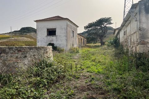 Helårsgrund i Matacaes, Lisbon, Matacaes - € 340.000 | Ref: HB0271 - foto 36