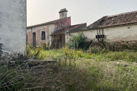 Farm i Matacaes, Lisbon, Matacaes - € 340.000 | Ref: HB0267 - foto 4